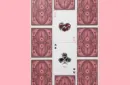 Lepidopterist Playing Cards by Art of Play – Image 3