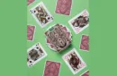 Lepidopterist Playing Cards by Art of Play – Image 4