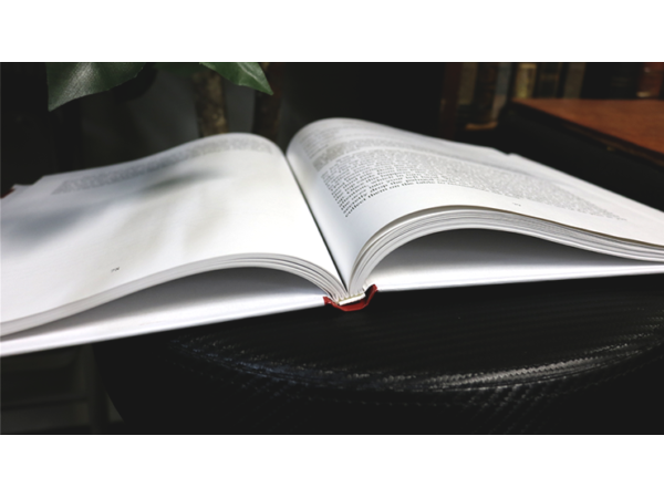 Who is Inaki Zabaletta?  by Vernet Magic - Book