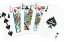 COPAG 310 NEO (Culture) Playing Cards – Image 3