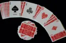 Mindset Playing Cards (Marked) by Anthony Stan – Image 4