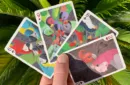 Gilded Bicycle Parrot Extinct Playing Cards – Image 4