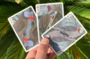 Bicycle Parrot Extinct Playing Cards – Image 6