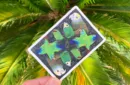 Gilded Bicycle Parrot Playing Cards – Image 6
