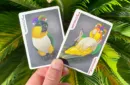 Bicycle Parrot Playing Cards – Image 2