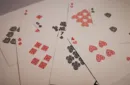 Shiba Seigaiha Playing cards – Image 4