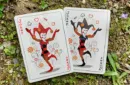 Bicycle Ant (Black) Playing Cards – Image 2