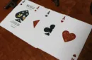 Bicycle Aviary (Orange) Playing Cards – Image 4