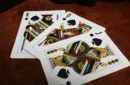 Bicycle Aviary (Orange) Playing Cards – Image 5