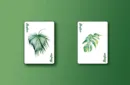 Monstera (Green) Playing Cards by TCC Presents – Image 5