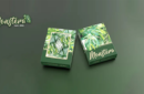 Httpswww magicshop chmediacatalogproductsisimple cardsmonstera grn 1 png