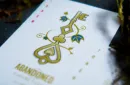 Limited Edition Abandoned Deluxe Playing Cards by Dynamo – Image 8
