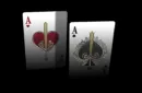 Bicycle VeniVidiVici Metallic Playing Cards by Collectable Playing Cards – Bild 2
