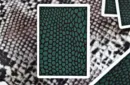 MYNOC: Snake Edition Playing Cards – Image 3