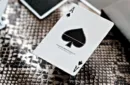 MYNOC: Snake Edition Playing Cards – Image 5