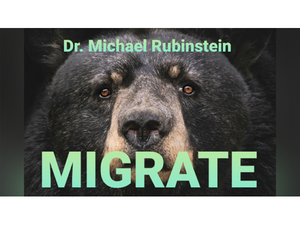 MIGRATE POKER CHIP by Dr. Michael Rubinstein