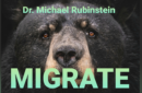Httpswww magicshop chmediacatalogproductsisimple migrate pc 2 png