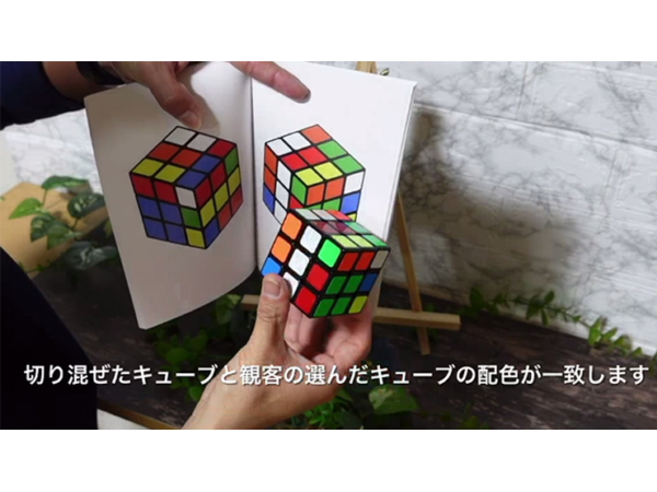 Book Cube Change SET by SYOUMA & TSUBASA