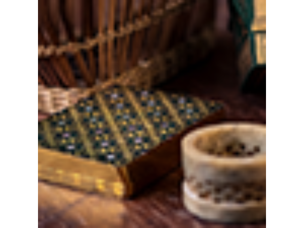 Gilded Limited Edition 2020 National Playing Card Deck Pandora's Box (Green & Gold) (Disease) by Seasons Playing Card