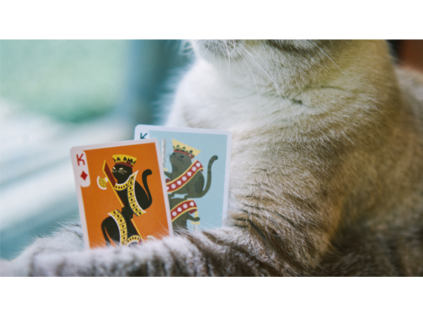 Meow Star Playing Cards by Bocopo