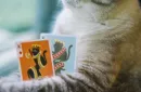 Meow Star Playing Cards by Bocopo – Image 2