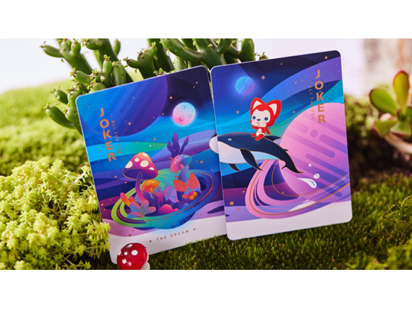 The Dream (Artic Edition) Playing Cards by SOLOKID