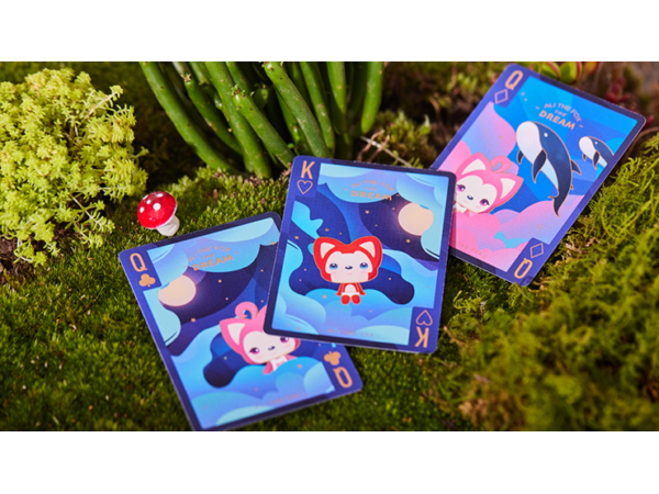 The Dream (Artic Edition) Playing Cards by SOLOKID