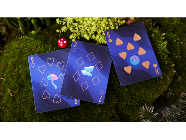 The Dream (Artic Edition) Playing Cards by SOLOKID