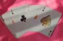 Malibu Zuma Beach Playing Cards by Gemini – Bild 2