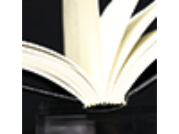 The Magic Book Deluxe (No Slipcase) of Harry Lorayne - Book
