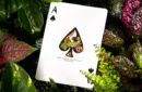 2021 Summer Collection: Jungle Playing Cards by CardCutz – Image 3