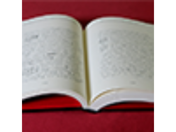 Bruce Cervon Castle Notebook, Vol. 3 - Book