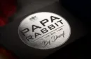 Papa Rabbit Hits The Big Time (Gimmicks and Online Instruction) by DARYL – Image 1