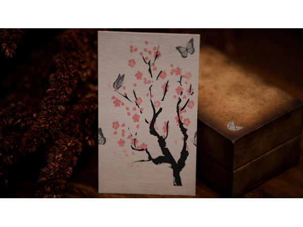 Genesis System Project (Gimmick and Online Instructions) by Adam Wilber and Vulpine Creations