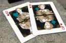 Bicycle Barclay Mountain Playing Cards Set (2 Decks) – Image 4