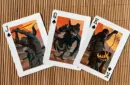 Gilded Bicycle Ninja Playing Cards – Bild 5