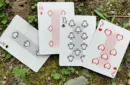 Gilded Bicycle Ant (Gold) Playing Cards – Image 4