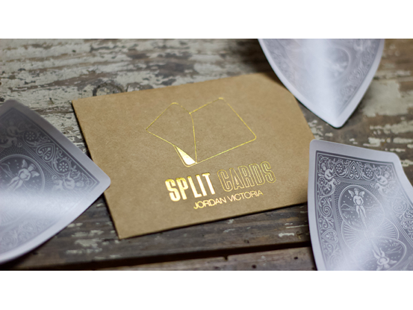 COLORED Split Cards 10 ct. (Silver) by PCTC