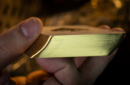 Httpswww magicshop chmediacatalogproductsisimple cardscherry montegld 4 png