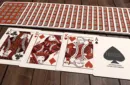 House Playing Cards – Image 3