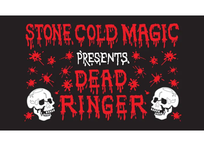 DEAD RINGER by Jeff Stone