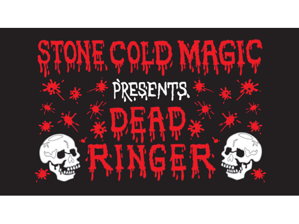 DEAD RINGER by Jeff Stone