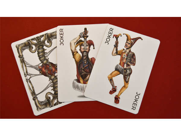 Anatomica Playing Cards