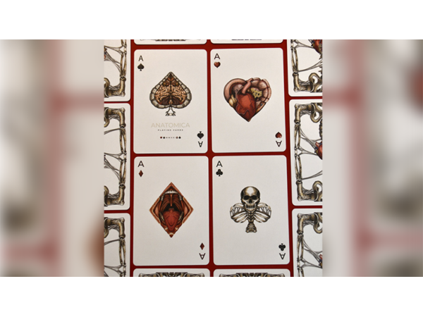 Anatomica Playing Cards