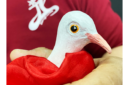 Httpswww magicshop chmediacatalogproductsisimple fingerdove k 2 png