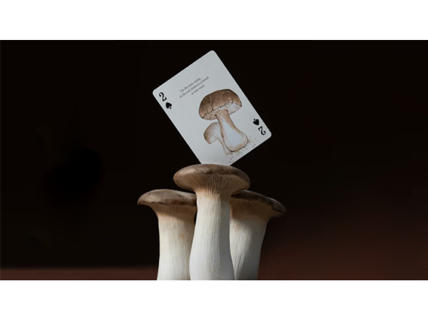 Eastern Forest Playing Cards by Art of Play