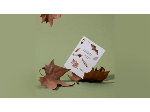 Eastern Forest Playing Cards by Art of Play