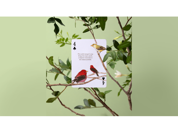Eastern Forest Playing Cards by Art of Play