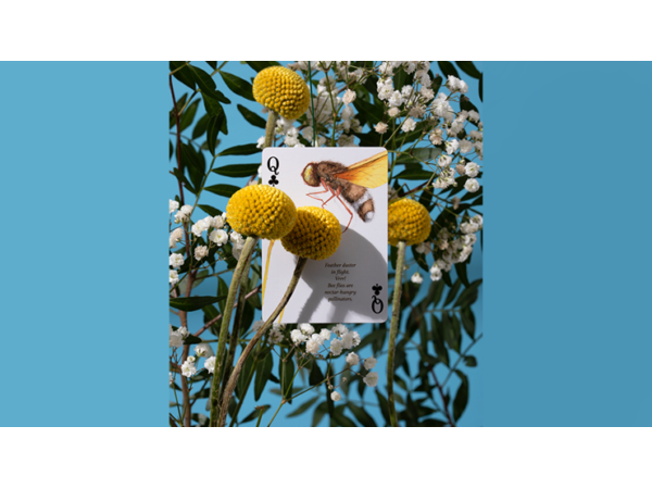 Eastern Forest Playing Cards by Art of Play