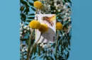 Eastern Forest Playing Cards by Art of Play – Image 5